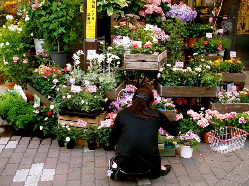 tokyo-japan-2