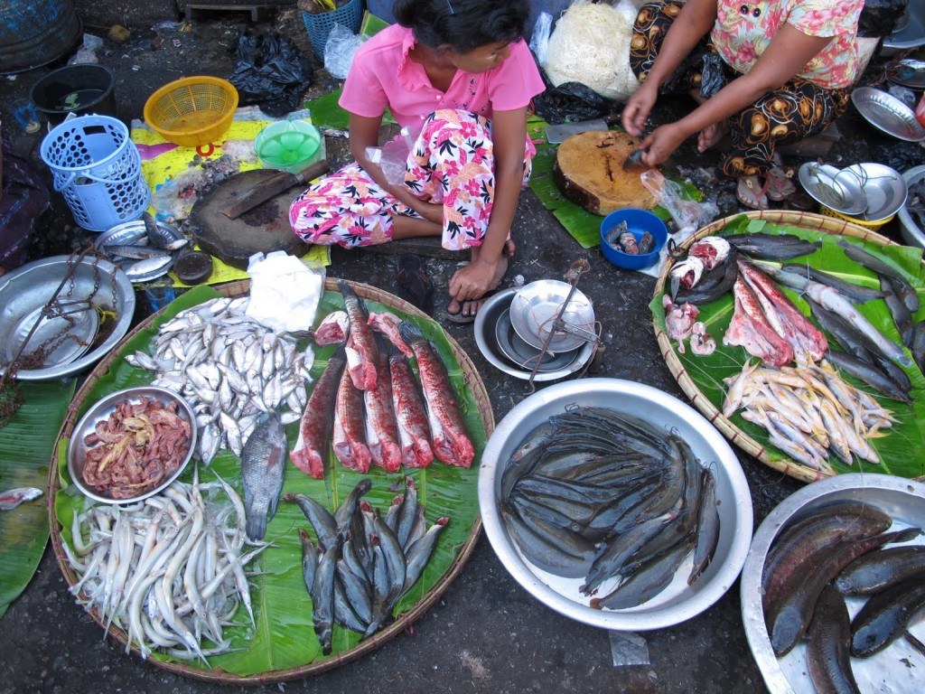 Yangon Myanmar 7