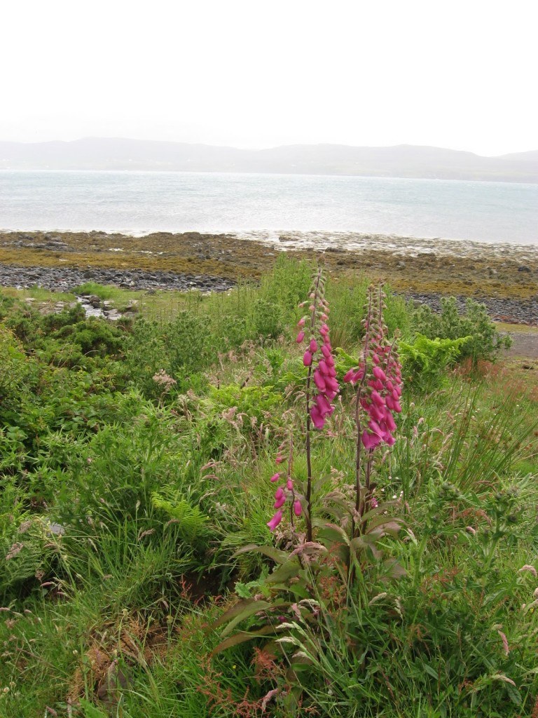 Isle of Skye 3