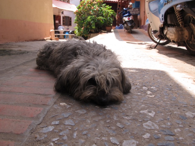 luang-prabang-6