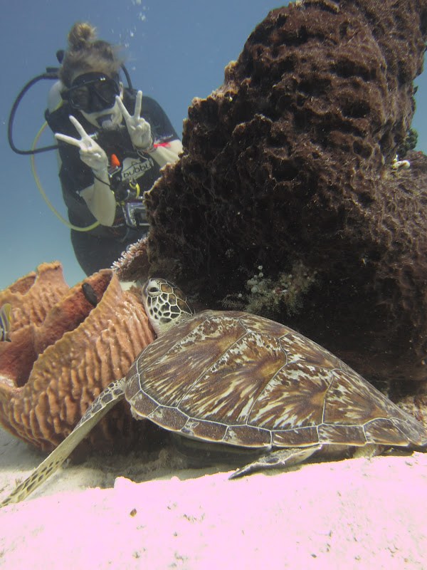 Brenna diving in Indonesia