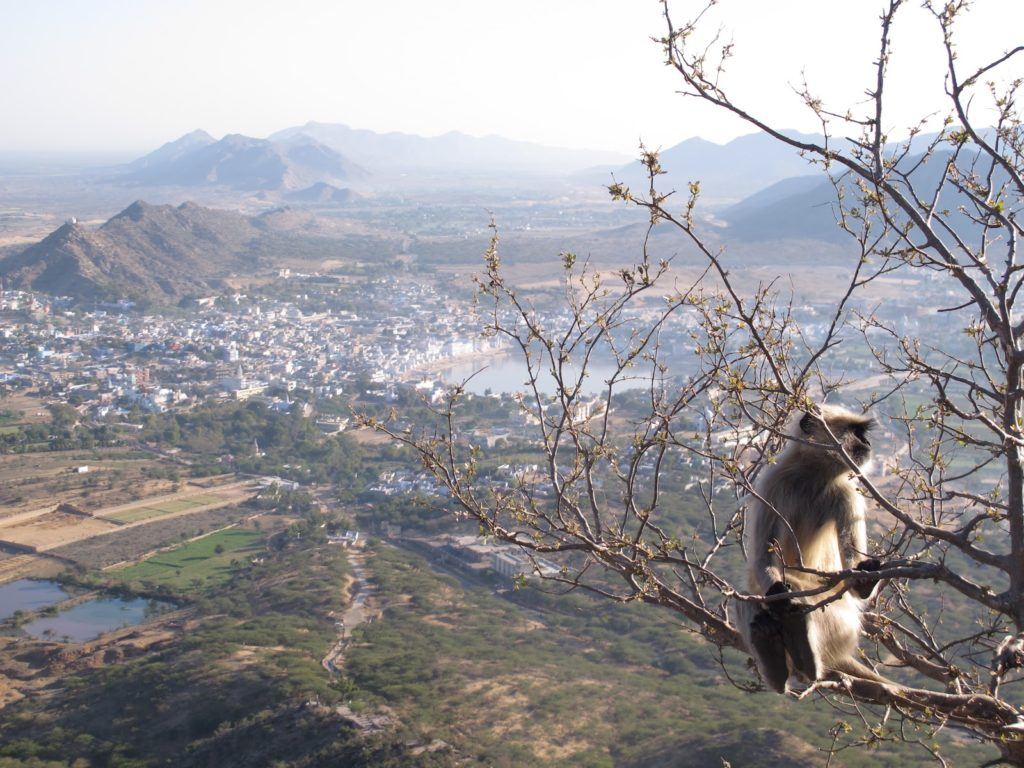 sunrise-in-pushkar-india-4