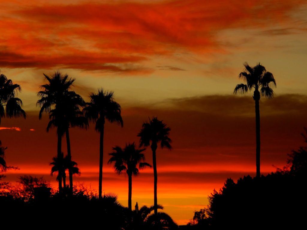 phoenix-sunset-1