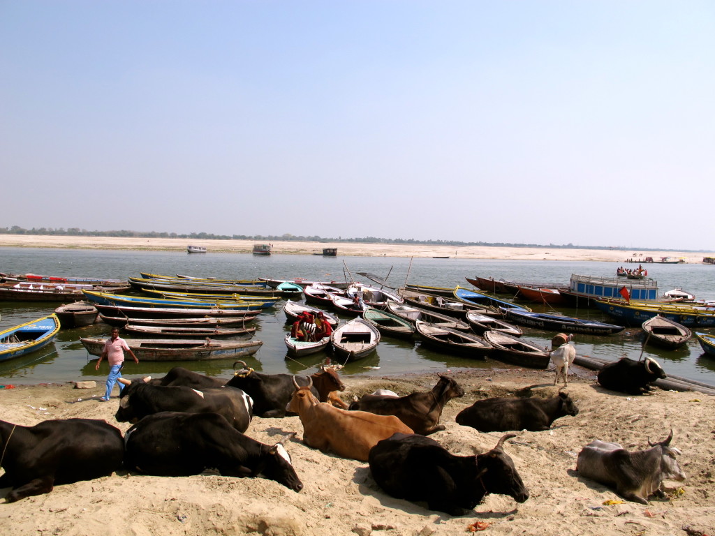 Varanasi 8