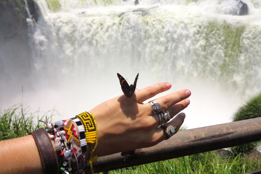 Argentina Butterfly