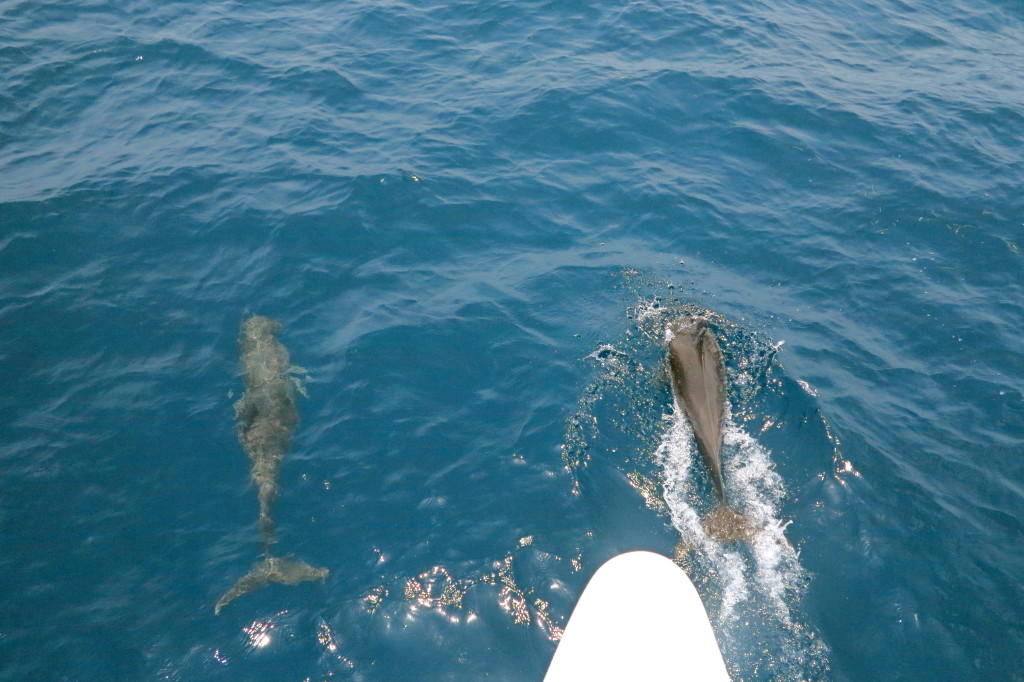 Sailing From San Blas 2