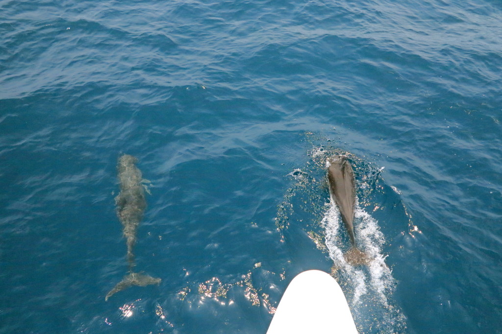 Sailing From San Blas 2