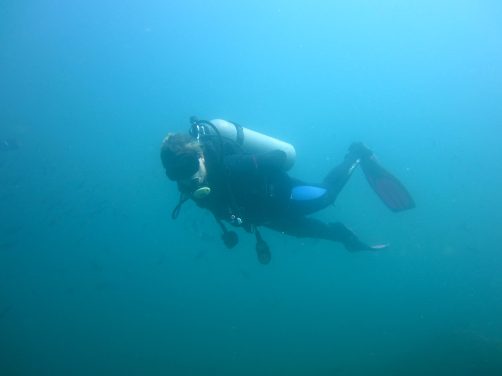 Galapagos Scuba Diving 2