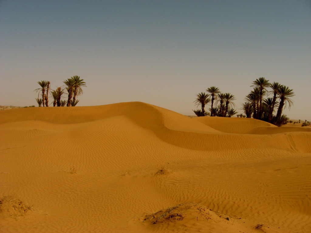 Sahara Morocco 9