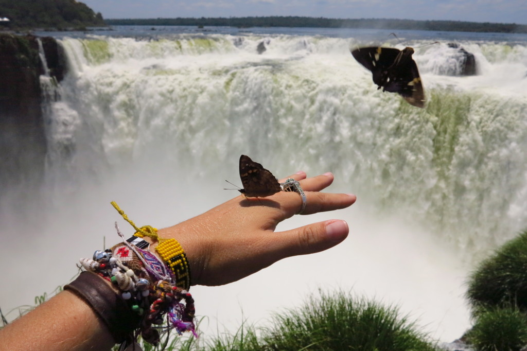 Butterflies in Brazil