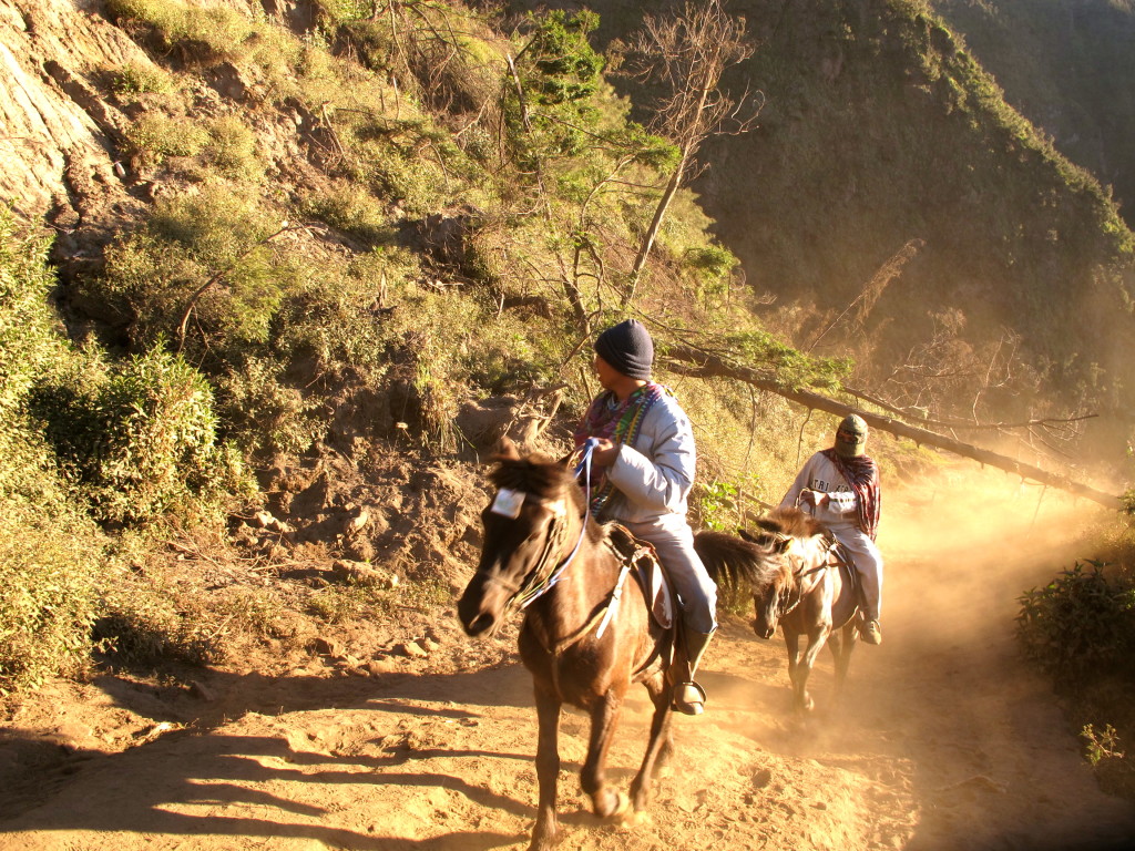 Mount Bromo 10