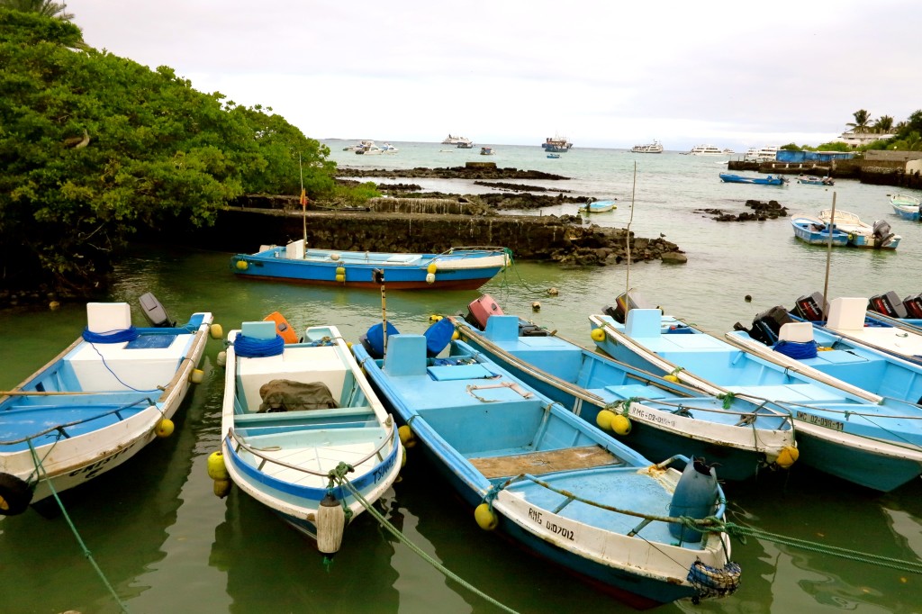 Galapagos Blue 2