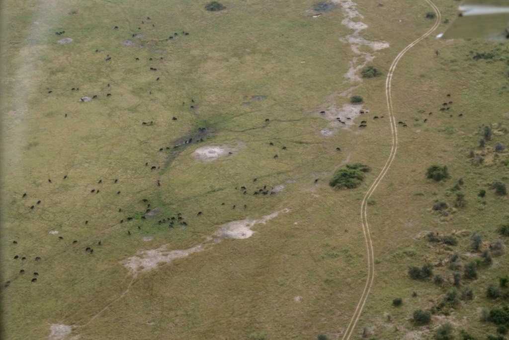 Flight Over the Okavango Delta 3