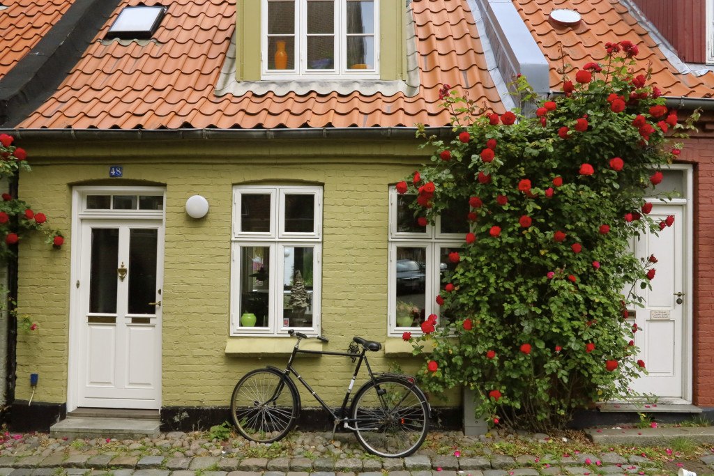 Bicycles in Denmark 5