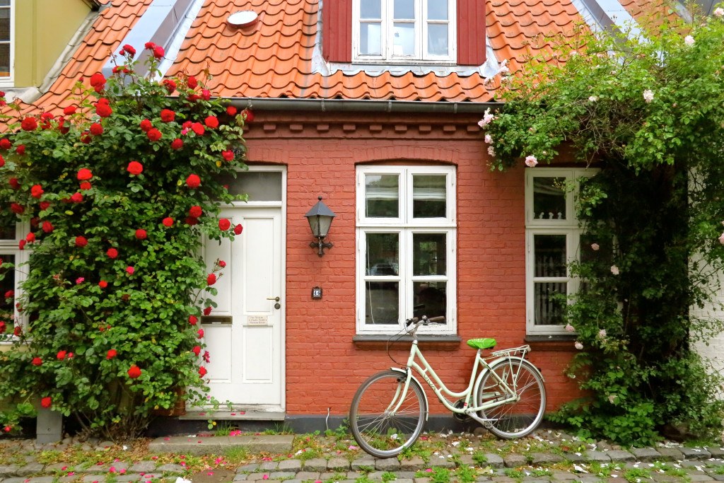 Bicycles in Denmark 6