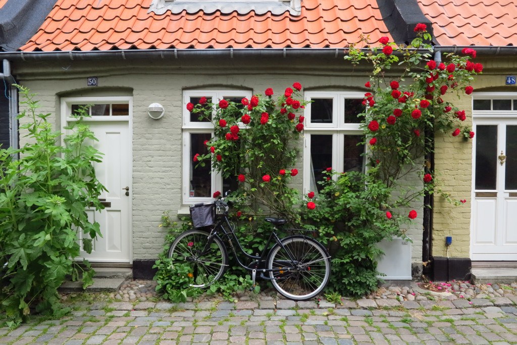 Bicycles in Denmark 9