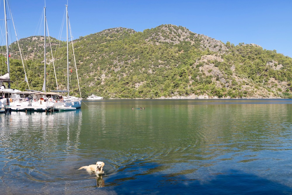 sailing-in-gocek-turkey-11-of-28