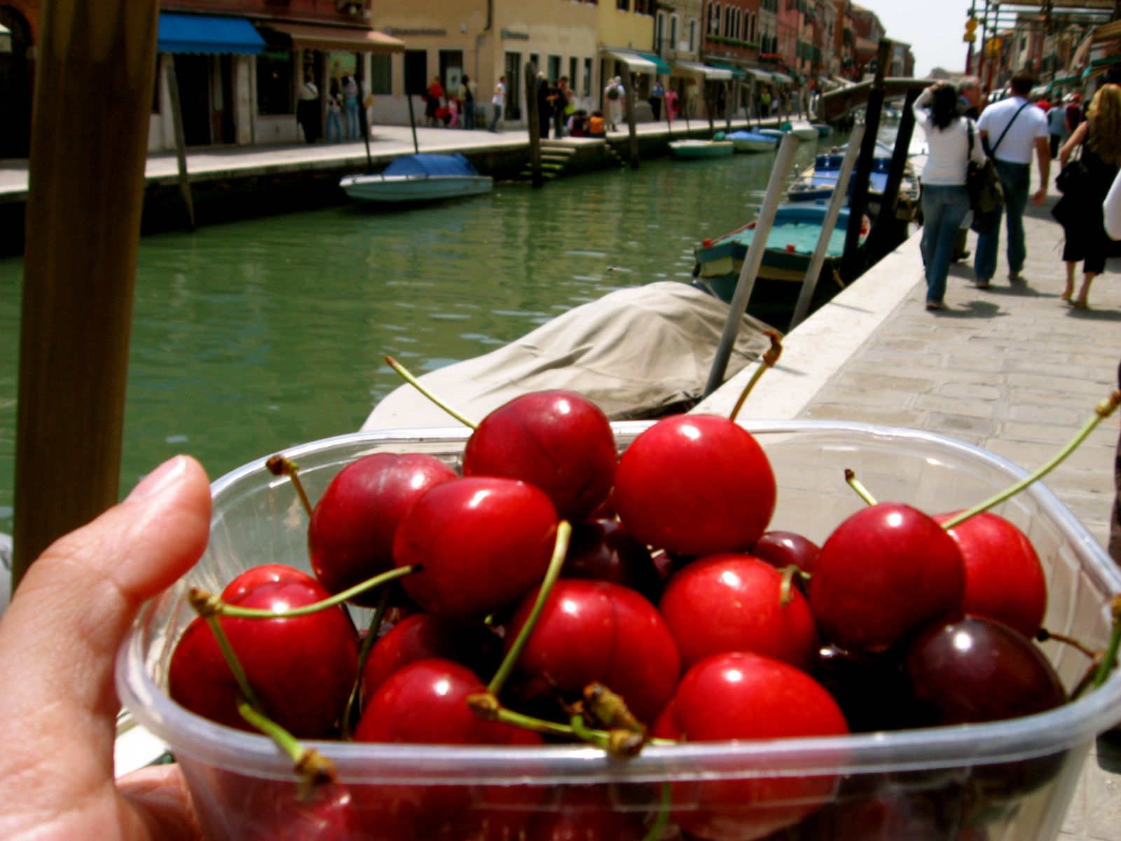 Italian Reds 8