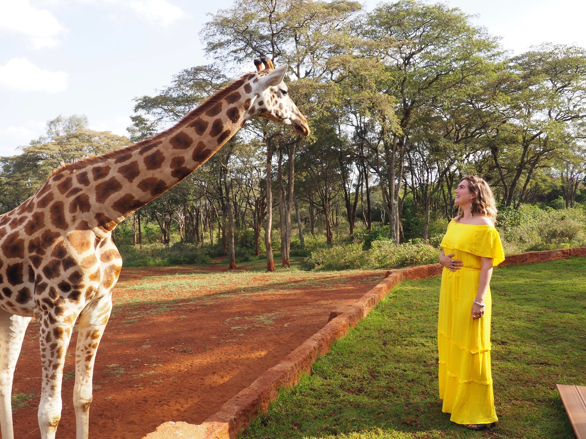 Giraffe Manor Nairobi Kenya