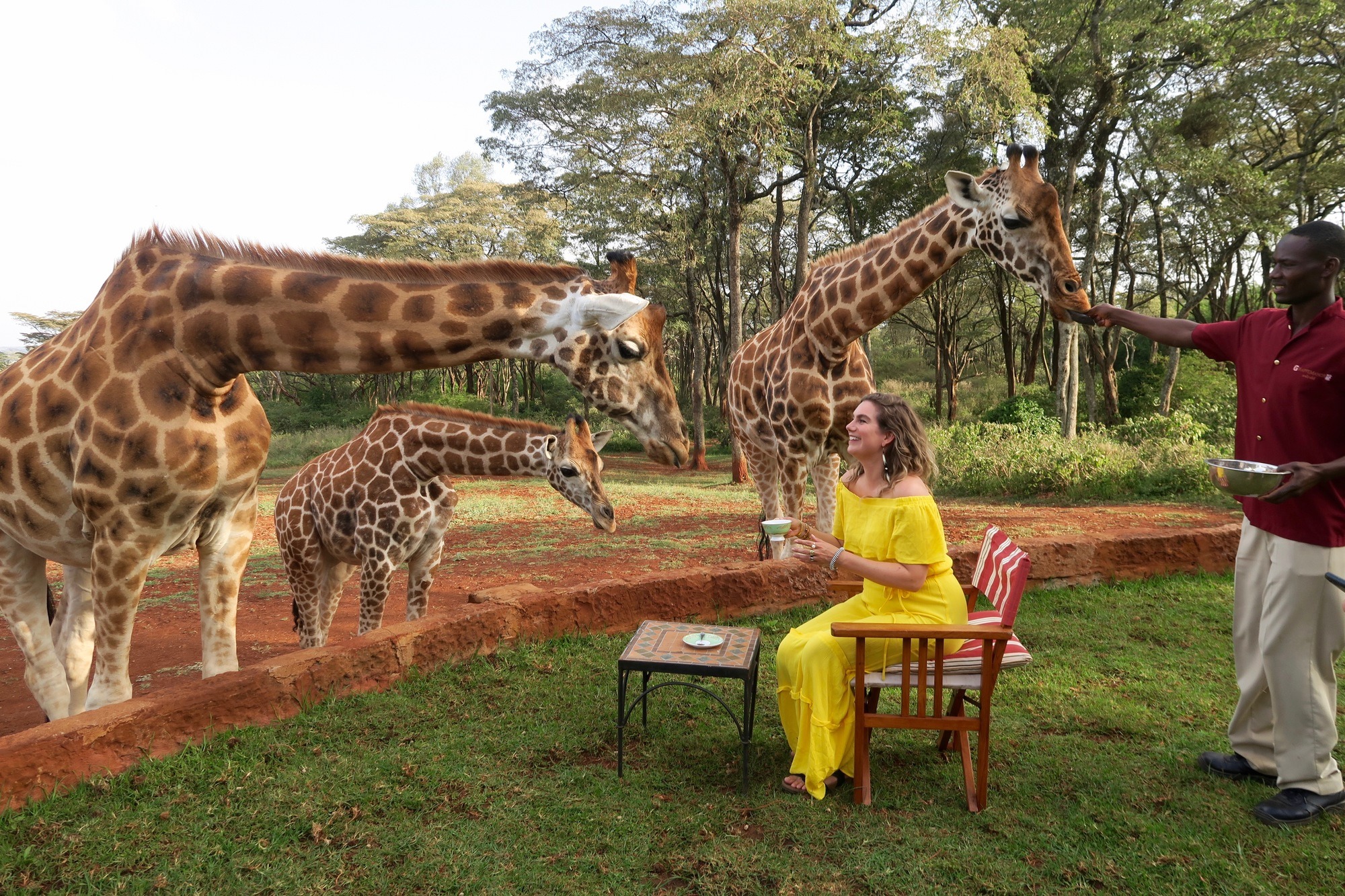 Giraffe Manor Nairobi Kenya