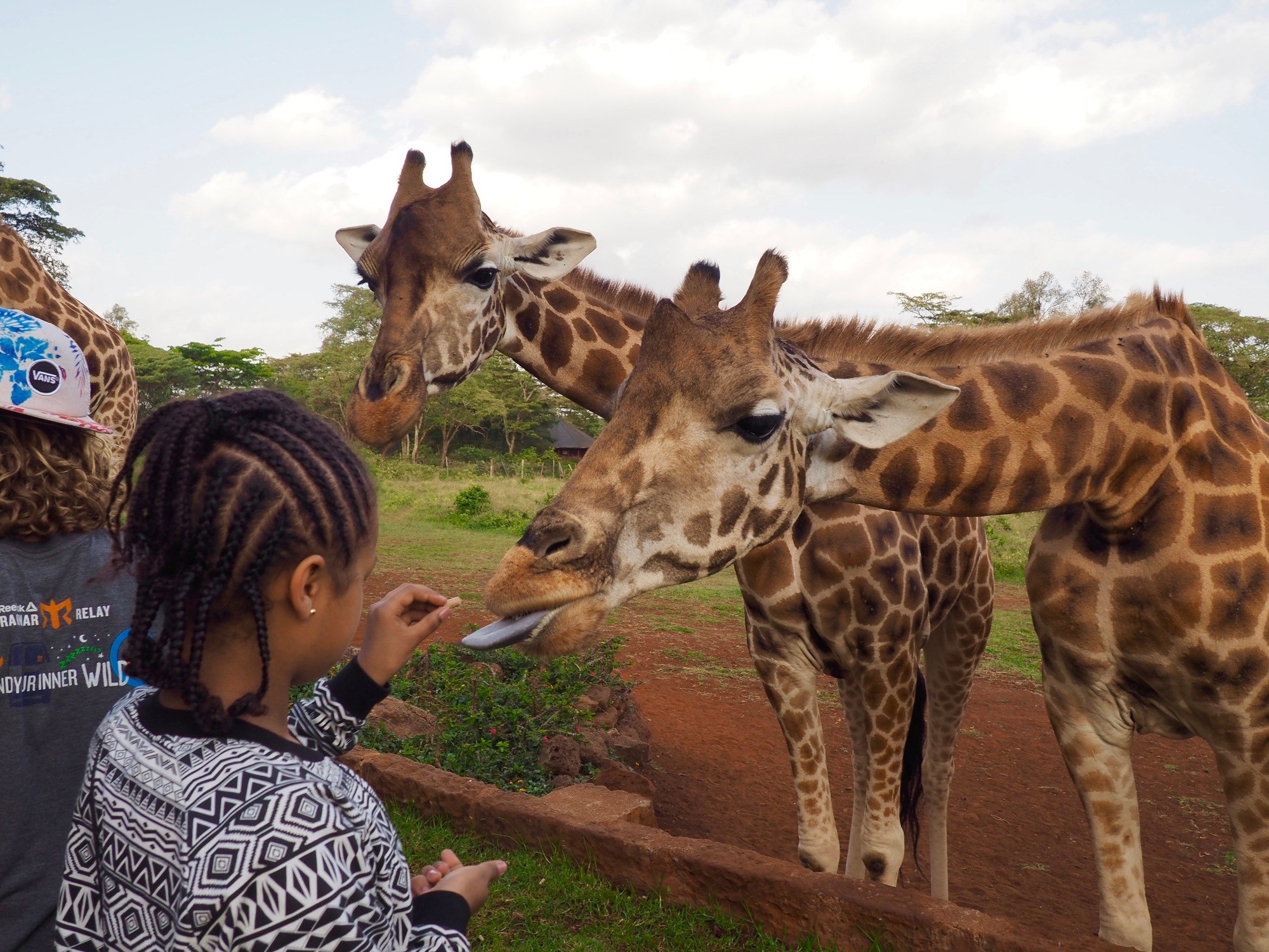 Giraffe Manor Nairobi Kenya