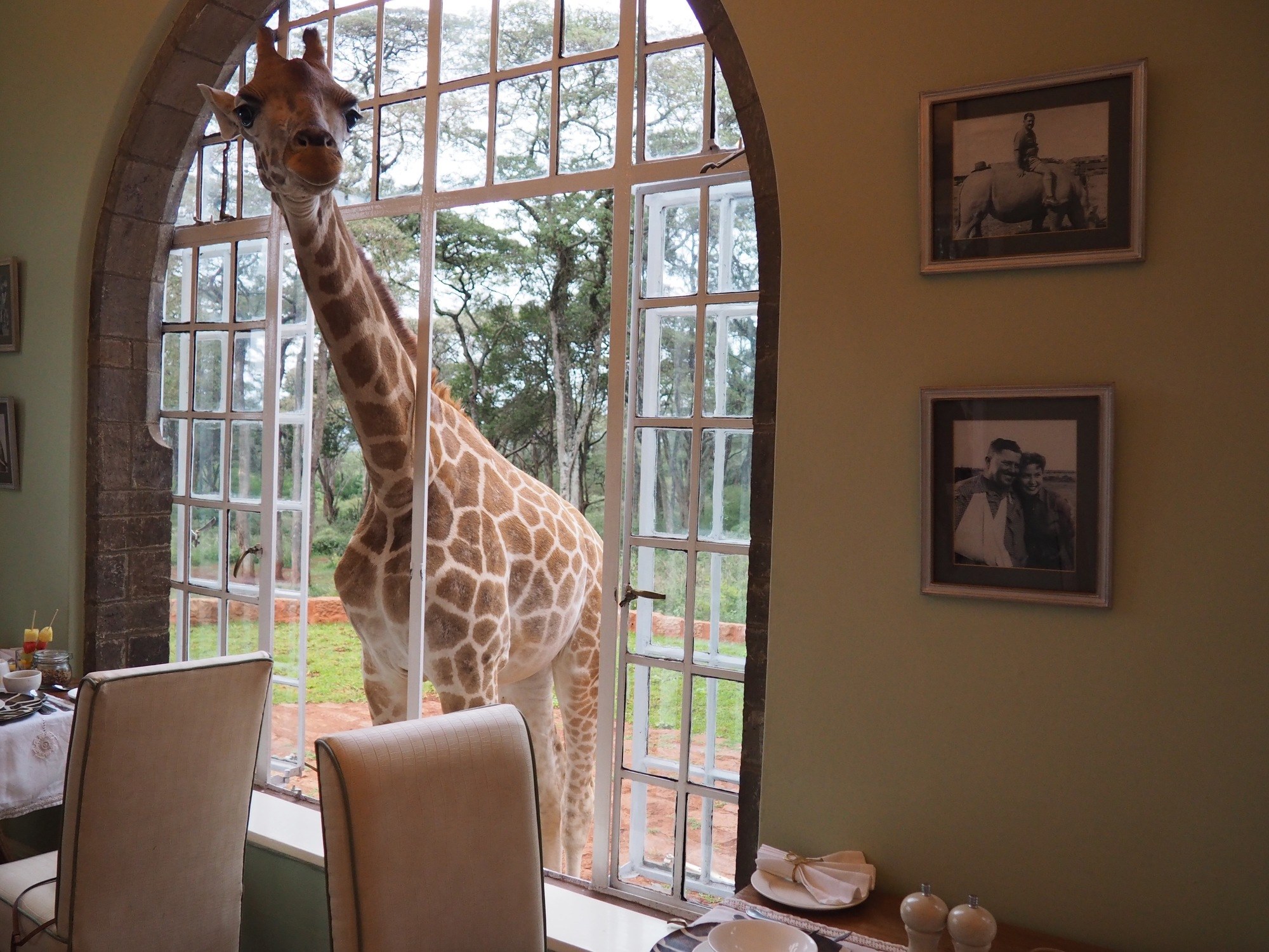 Giraffe Manor Nairobi Kenya