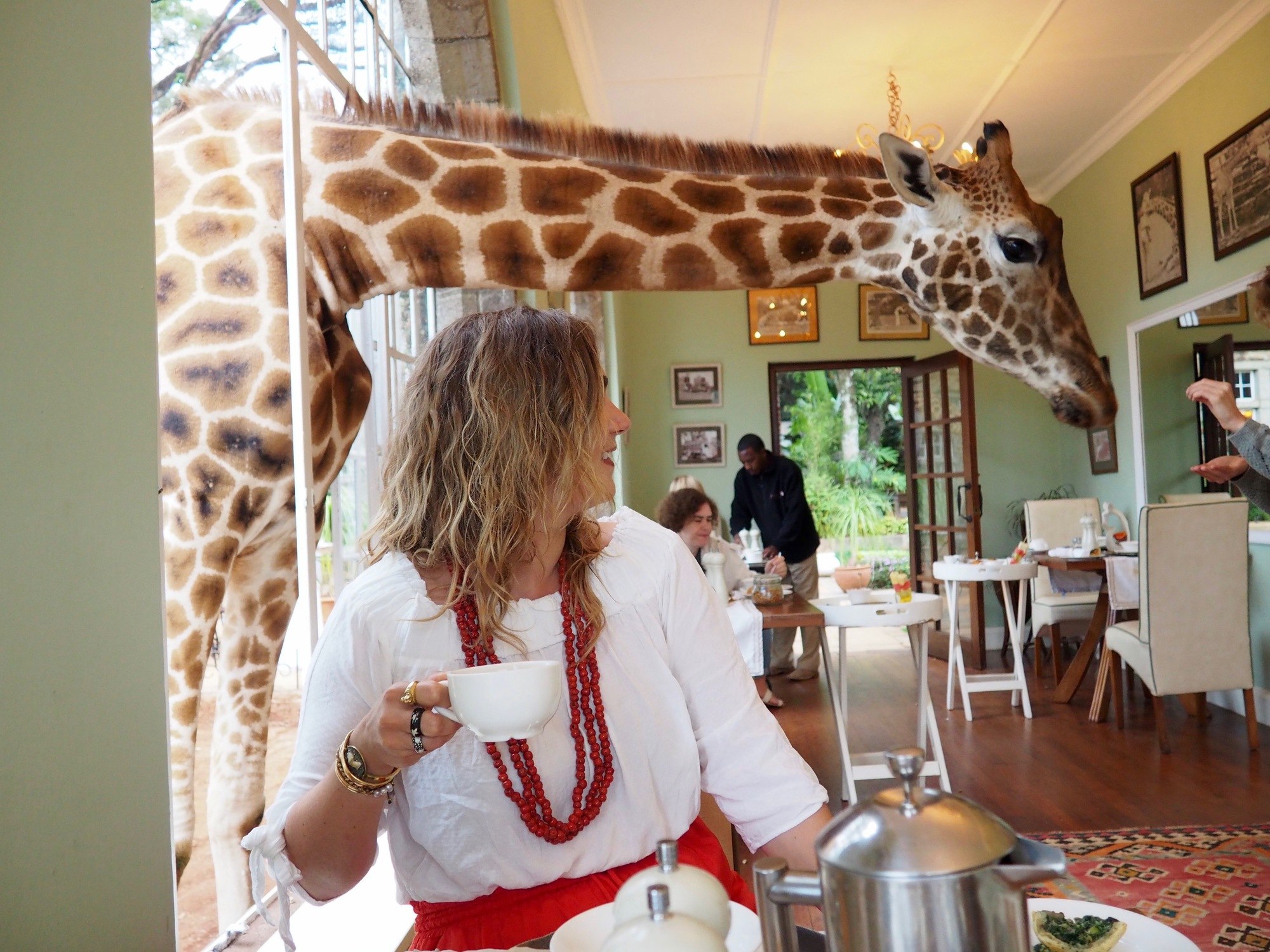 Giraffe Manor Nairobi Kenya