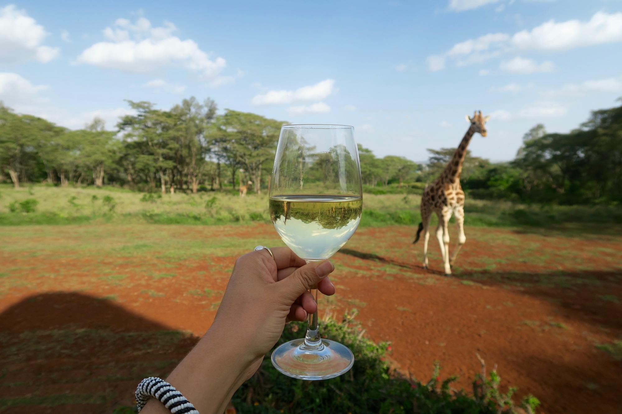 Giraffe Manor Nairobi Kenya