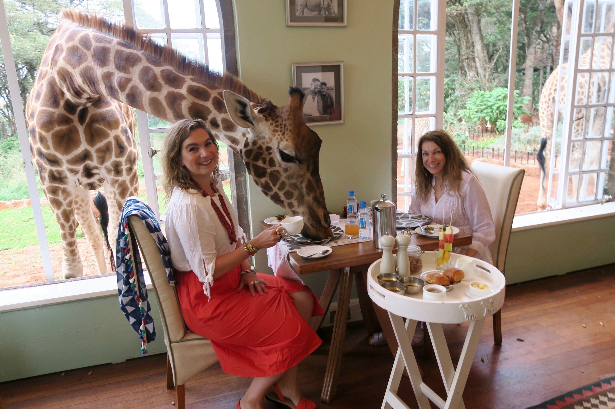 Giraffe Manor Nairobi Kenya