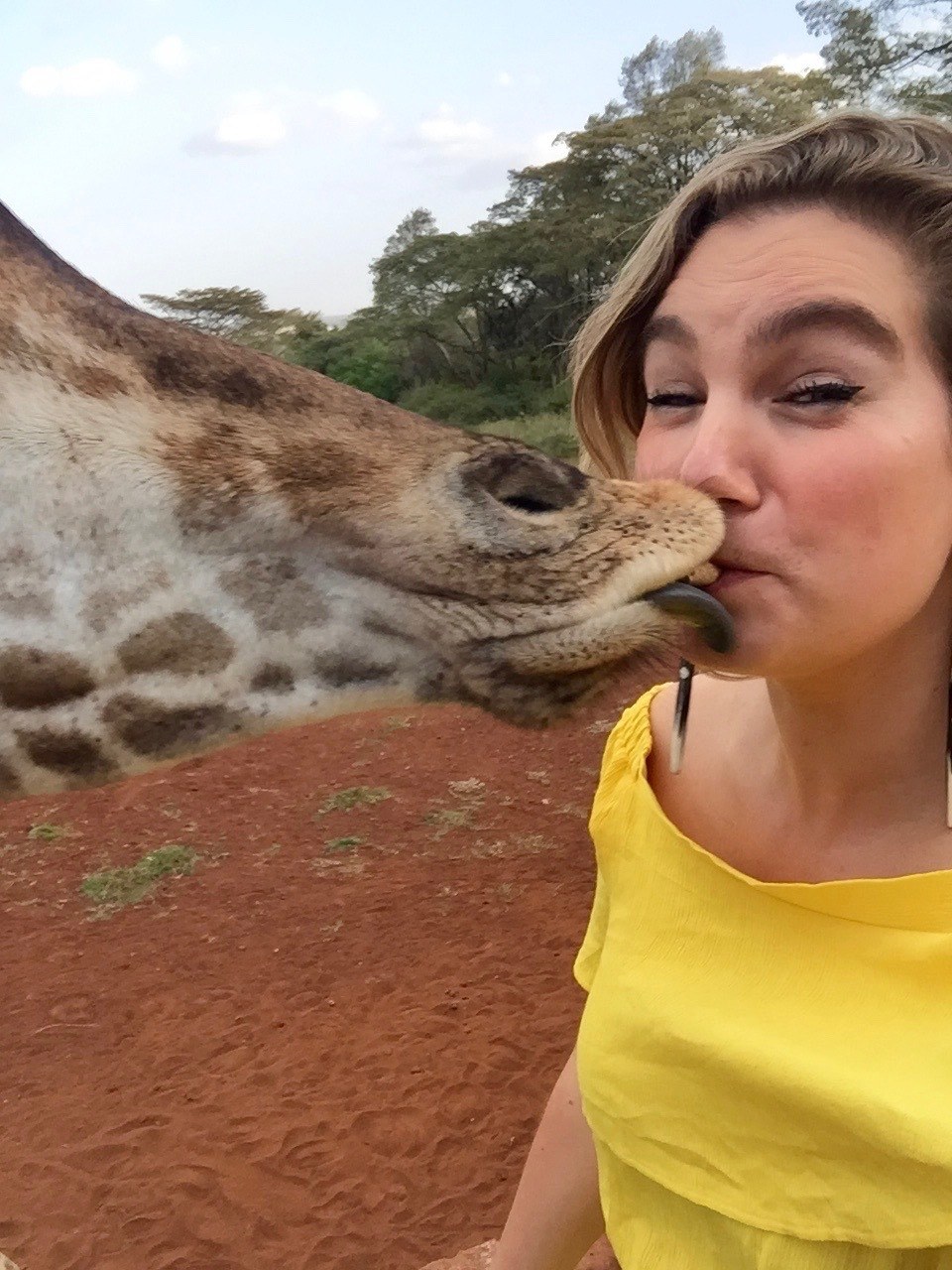 Giraffe Manor Nairobi Kenya