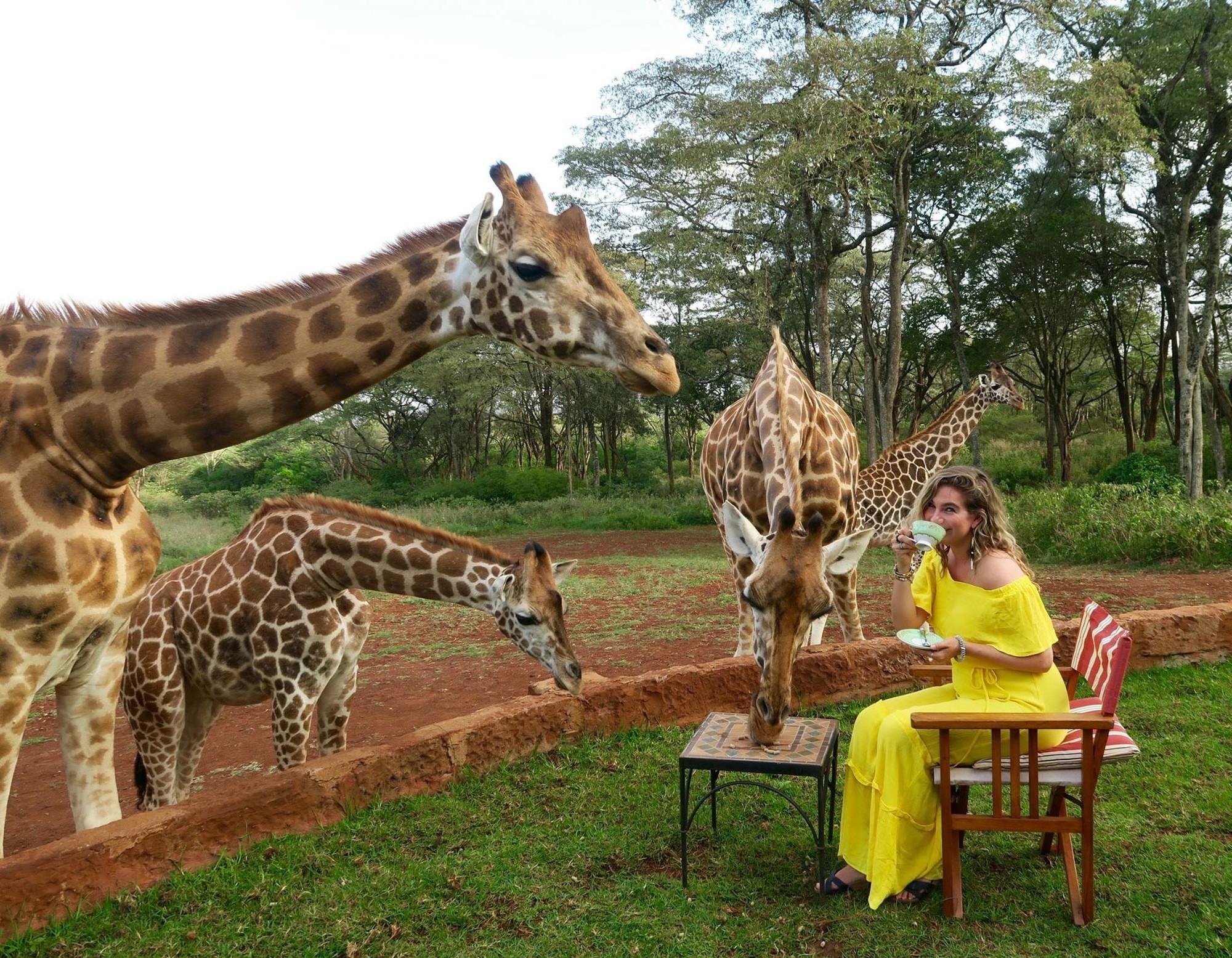 Giraffe Manor Nairobi Kenya