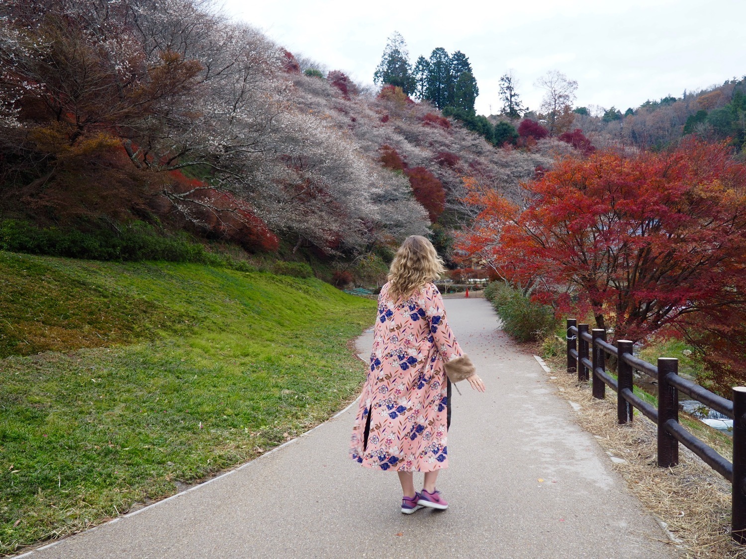 walking through autumn leaves and cherry blossoms Japan