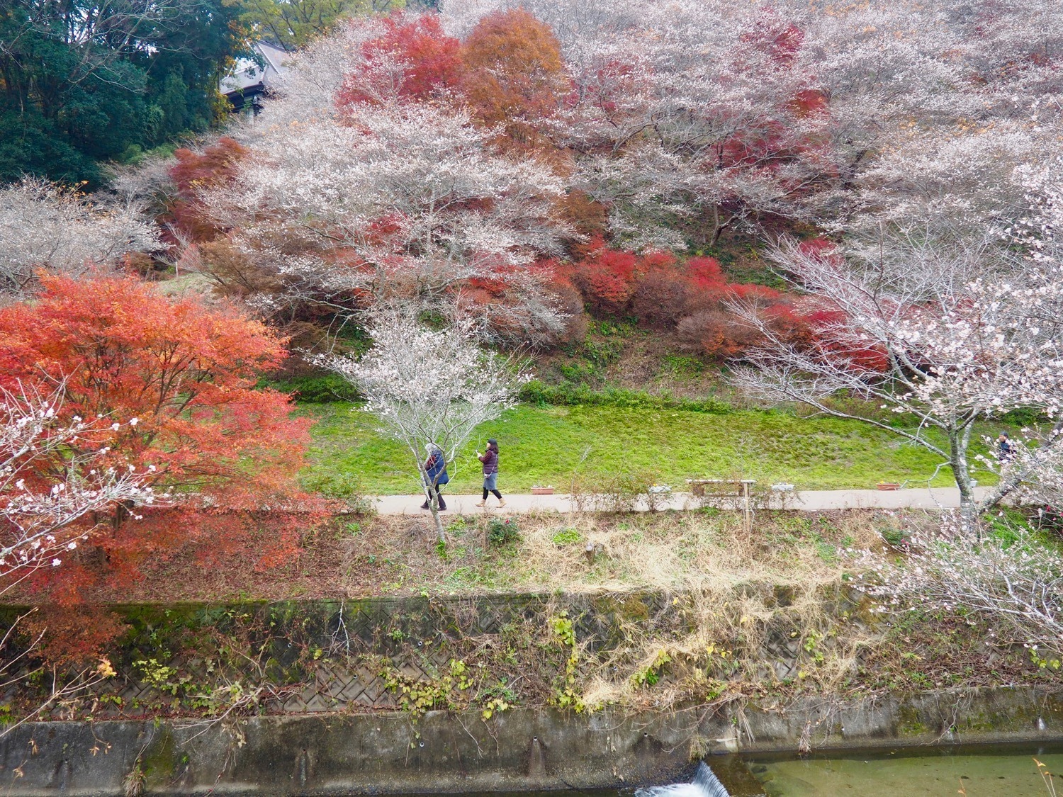 Obara scenery