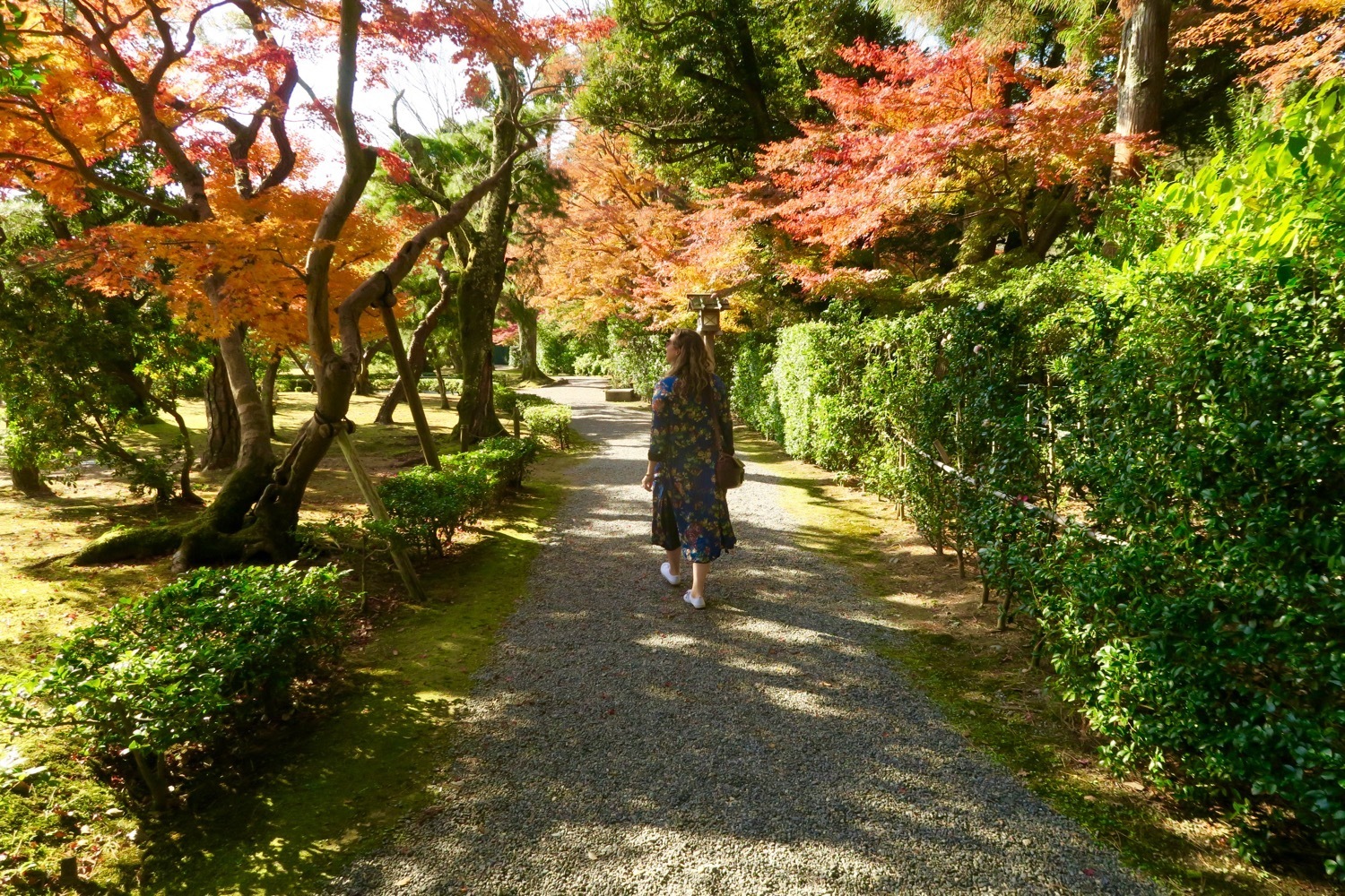 walking through Ise leaves