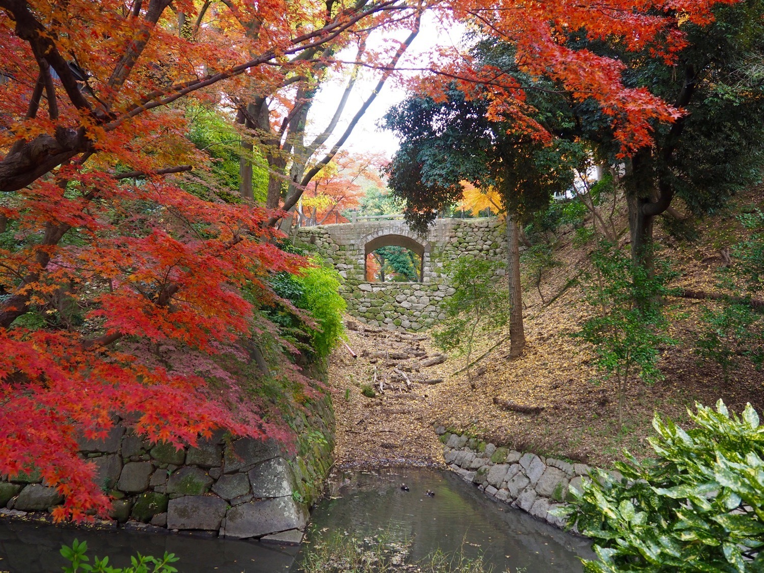 autumn leaves in Central Japan