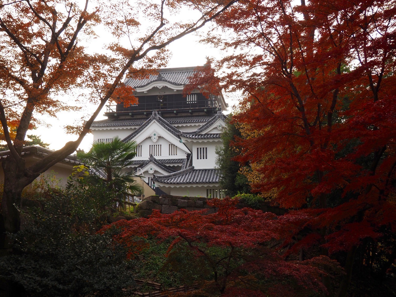 Okazaki Castle leaves