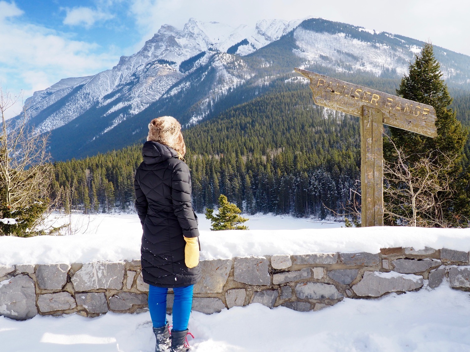 Canadian winter Rocky Mountains