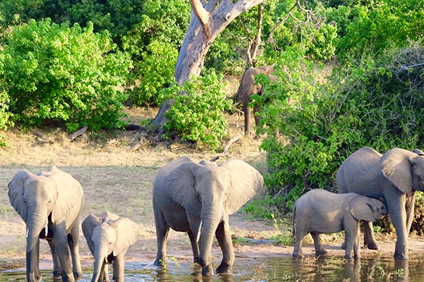 Botswana