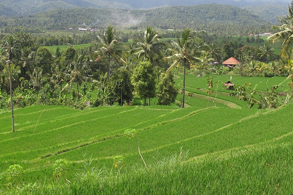 Indonesia