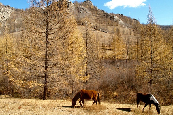 Mongolia