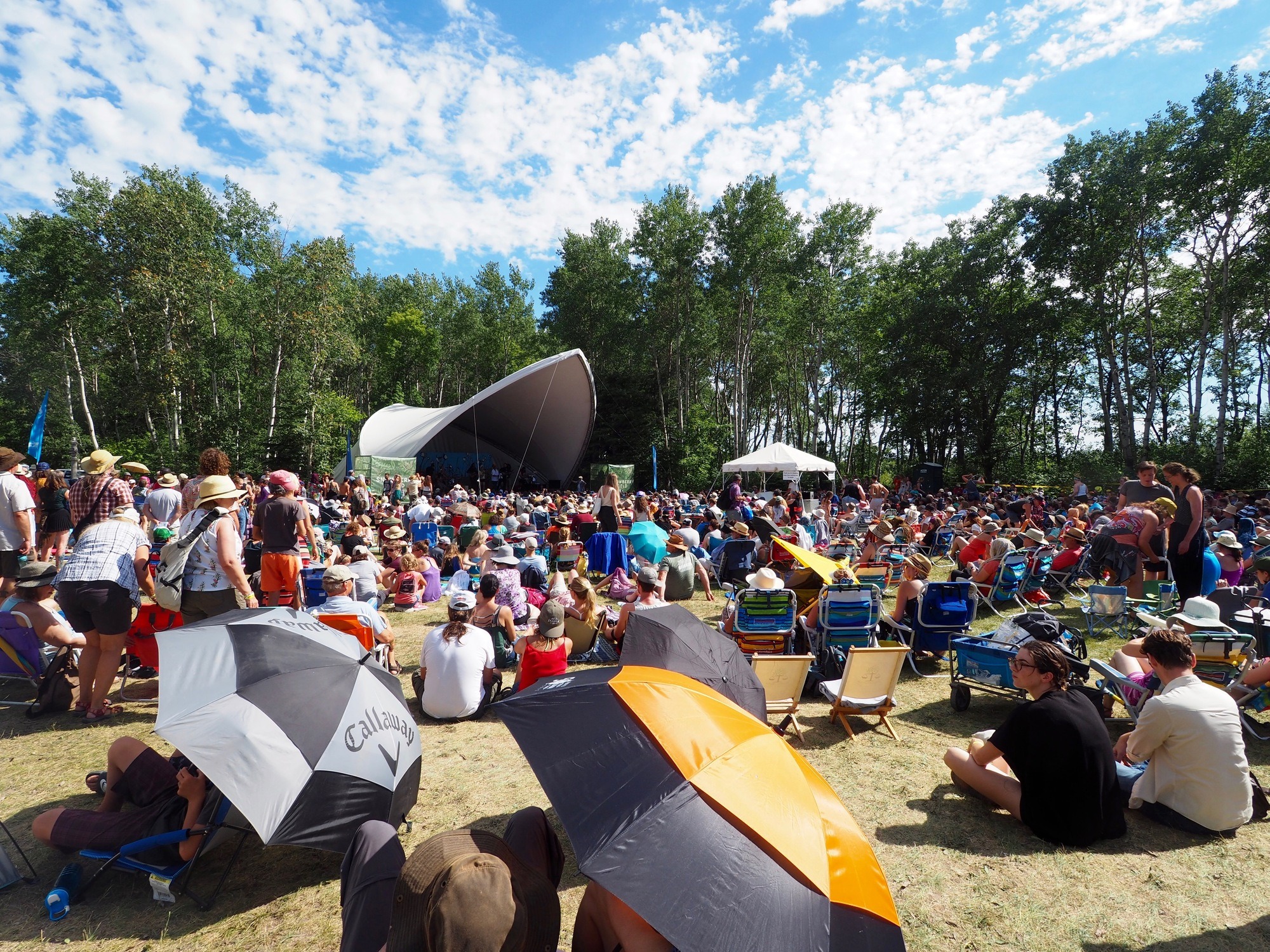 winnipeg folkfest