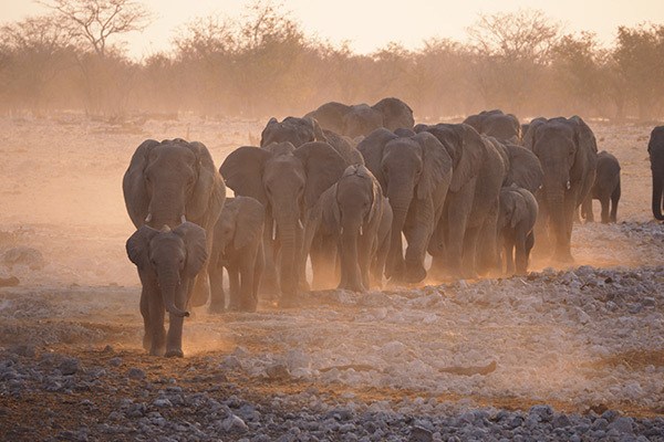 Namibia