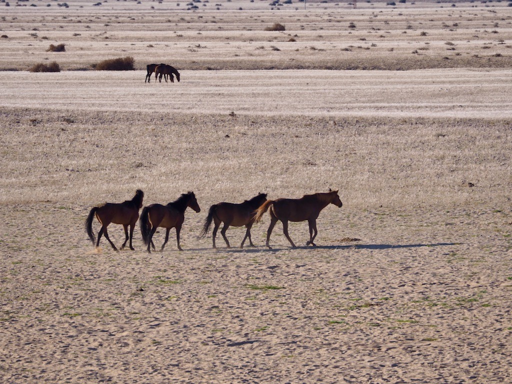 most beautiful spots for photography in Namibia