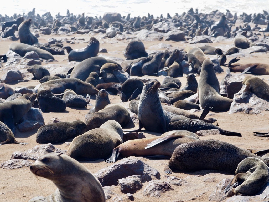 most beautiful spots for photography in Namibia