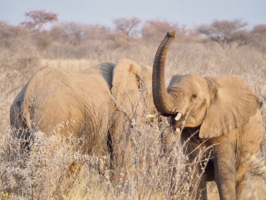 most beautiful spots for photography in Namibia