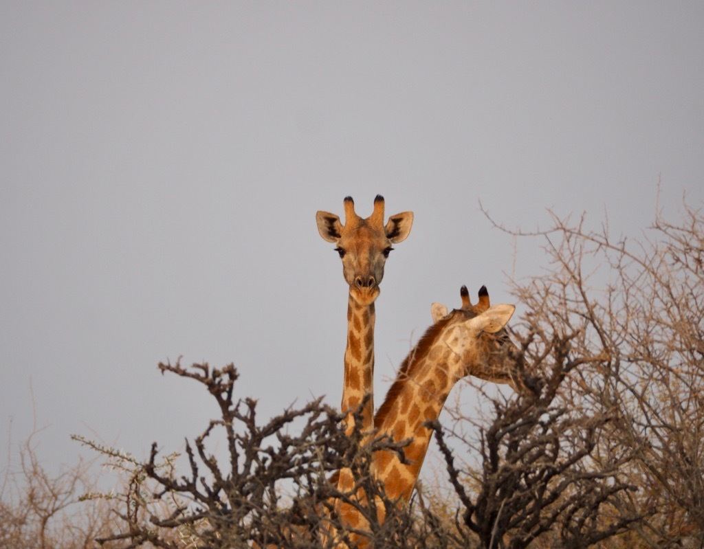 most beautiful spots for photography in Namibia