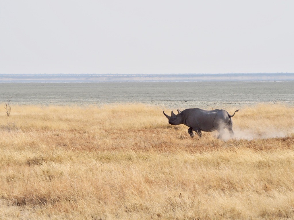 most beautiful spots for photography in Namibia