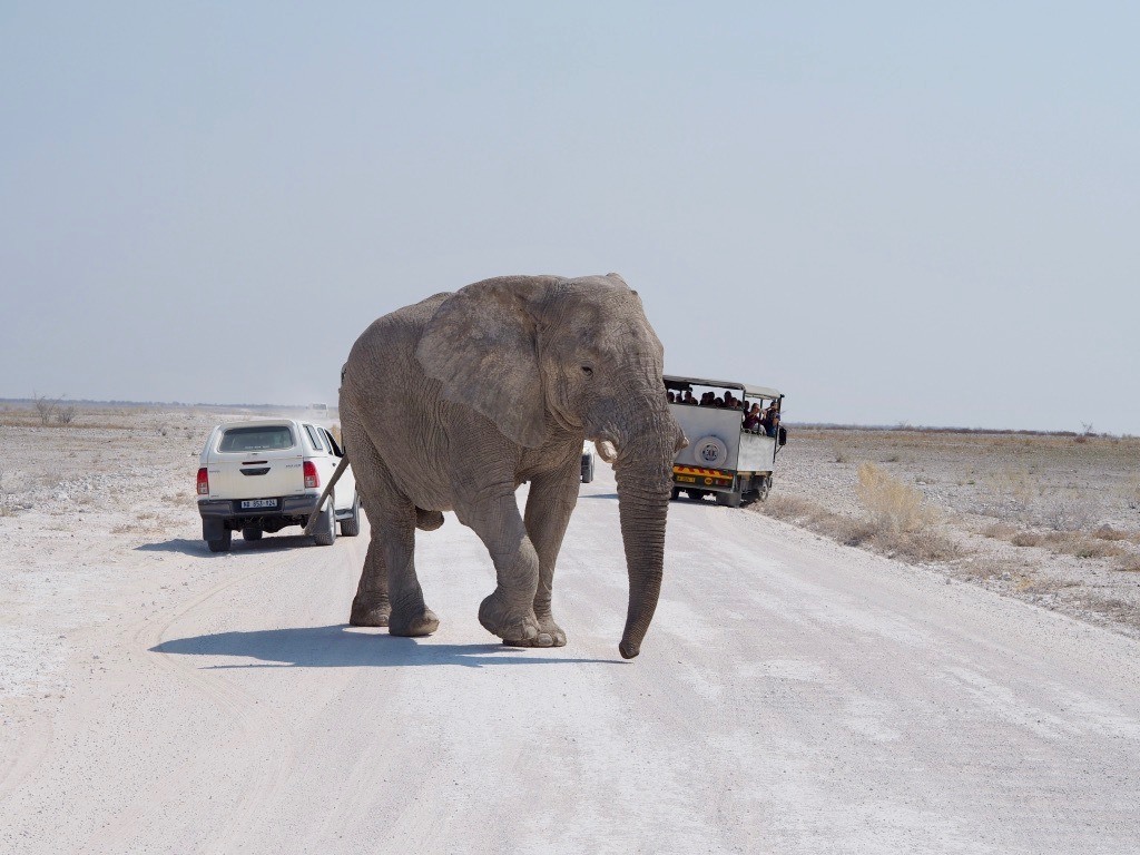 most beautiful spots for photography in Namibia