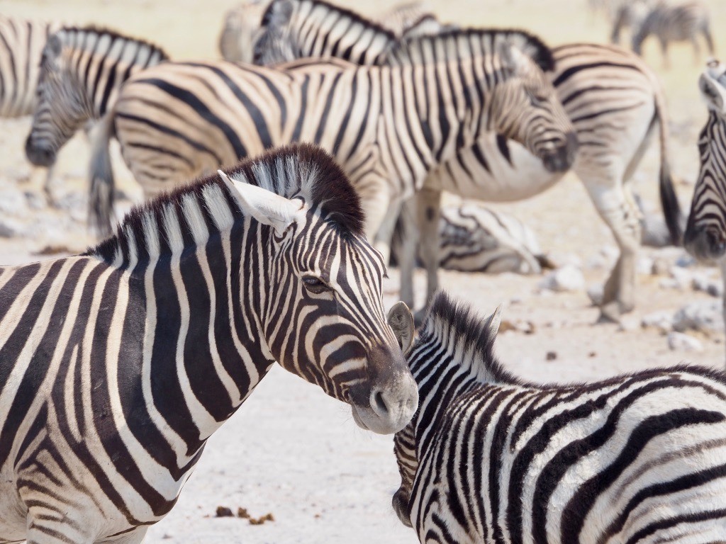 most beautiful spots for photography in Namibia