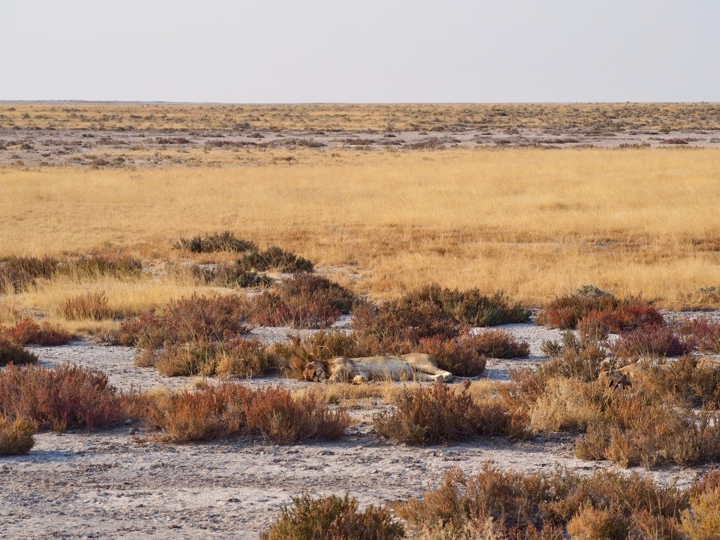 most beautiful spots for photography in Namibia